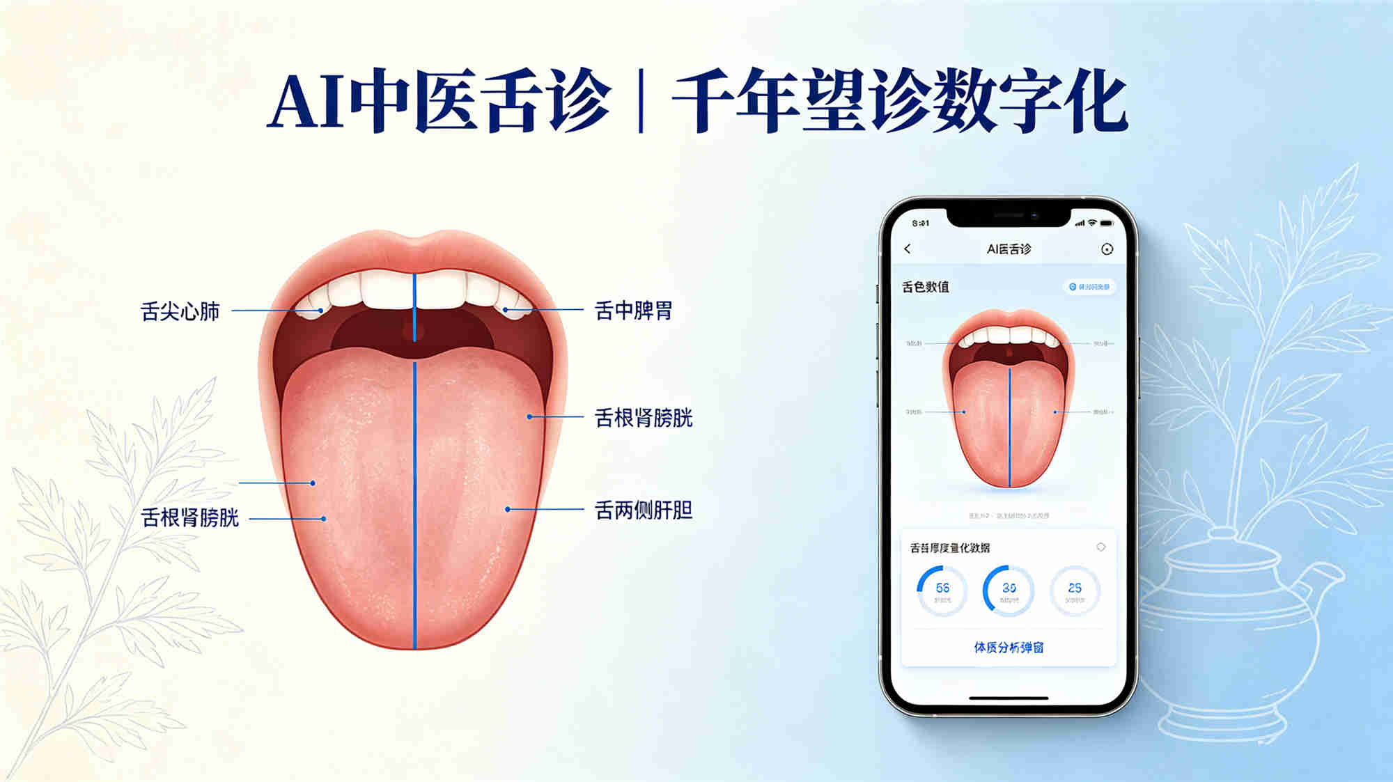 AI中医智能舌诊入门教程：手机拍照识别体质变化 | 零基础也能学会的中医DIY
