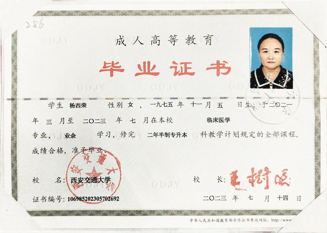 专业技术职称证书