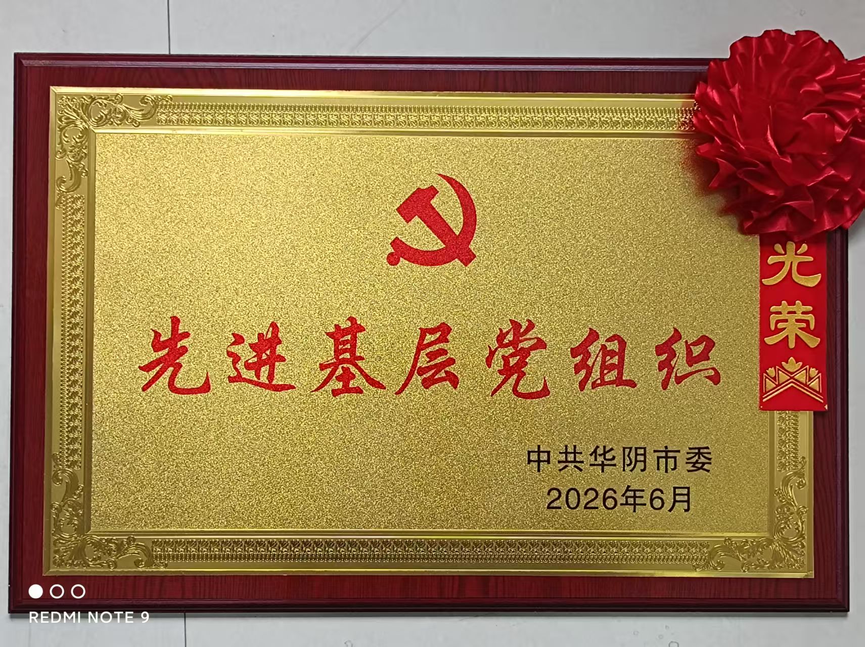 华阴市召开 “两优一先” 表彰大会 天祥医药连锁有限公司获评全市先进基层党组织